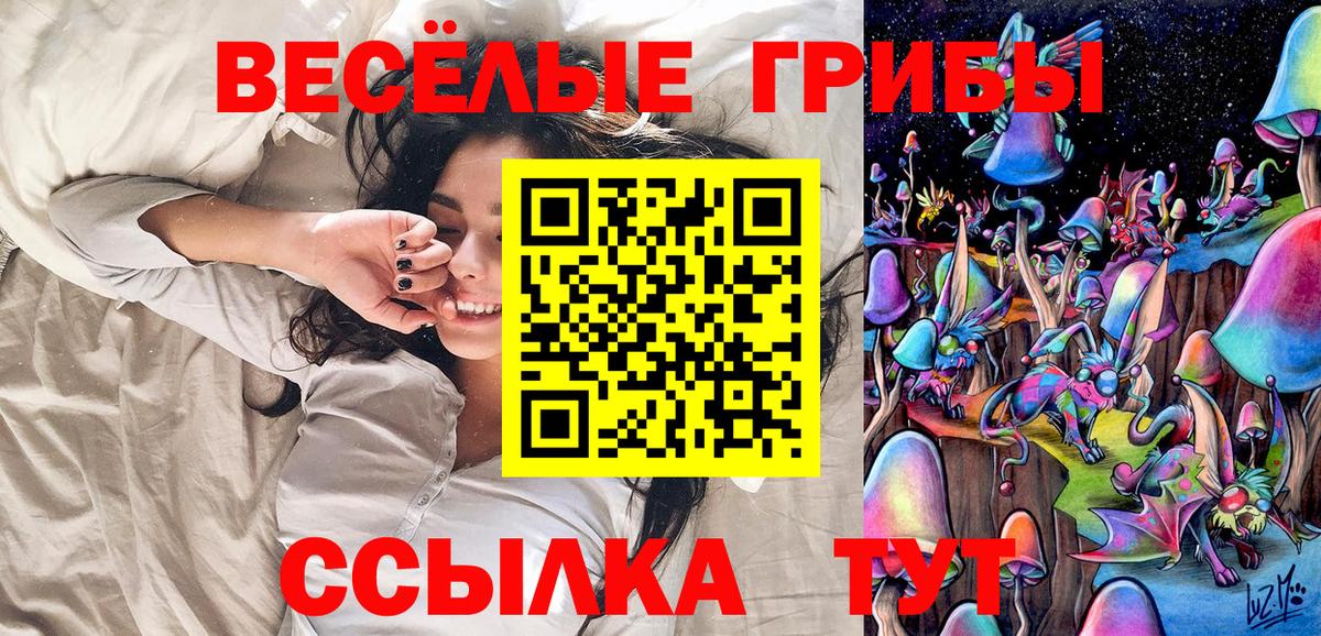 Балтийск  Галлюциногенные грибы мицелий  наркота  Псилоцибиновые грибы MAGIC MUSHROOMS  Вход с VPN 